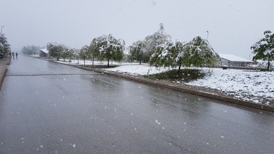 20170420_075129.jpg