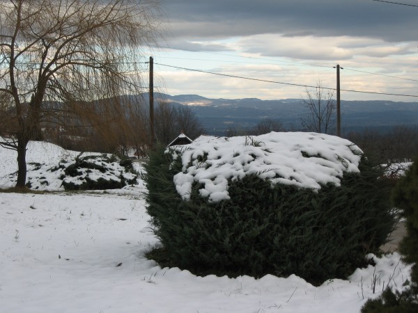 Smer Gorjanci