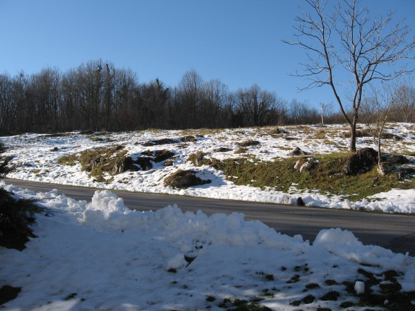 IMG_4988.JPG