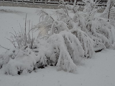 20171228_135635.jpg