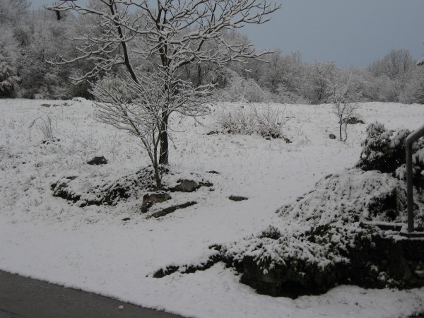 IMG_5653.JPG