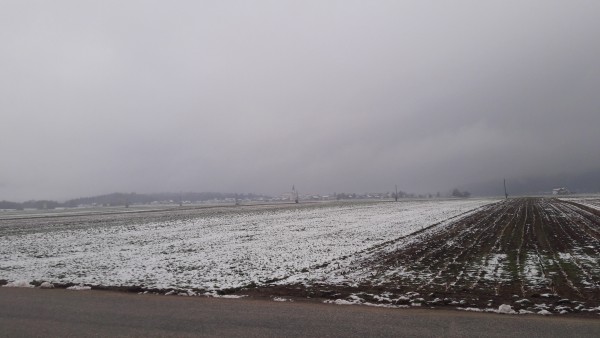 20251119_084101.jpg