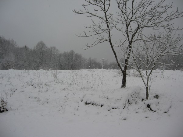 IMG_5655.JPG