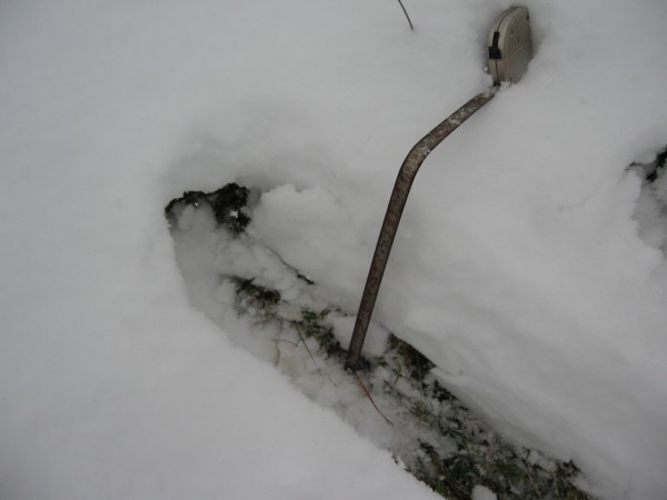 IMG_5659.JPG