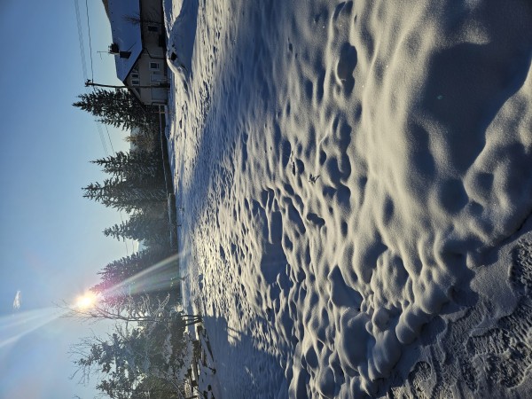 20251123_082349.jpg
