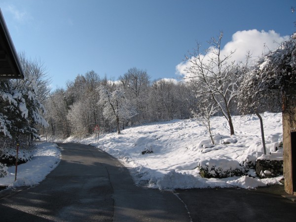 IMG_5665.JPG