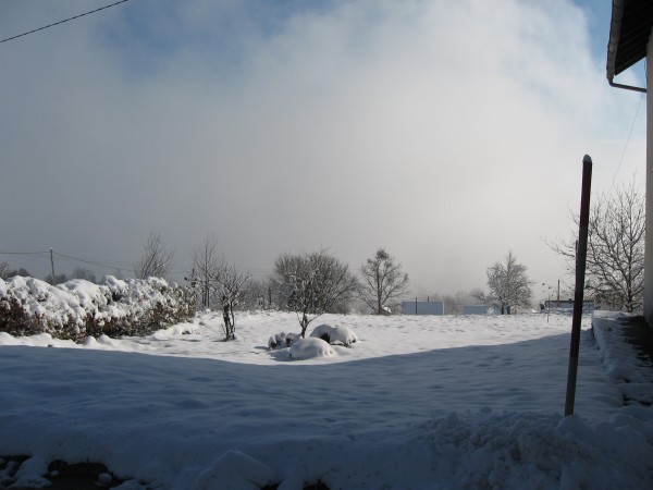 IMG_5664.JPG