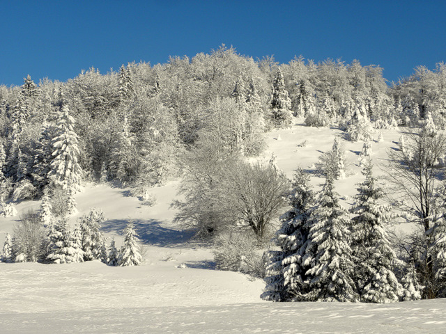 obhod lovišča 023.jpg