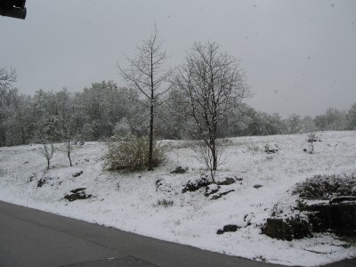 IMG_1825.JPG