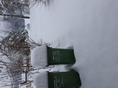 29cm pršiča