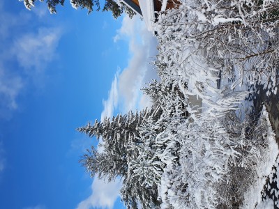 20201226_103426.jpg