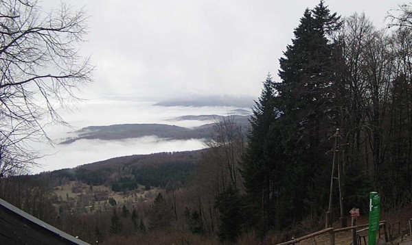Mirna gora  28.12.JPG