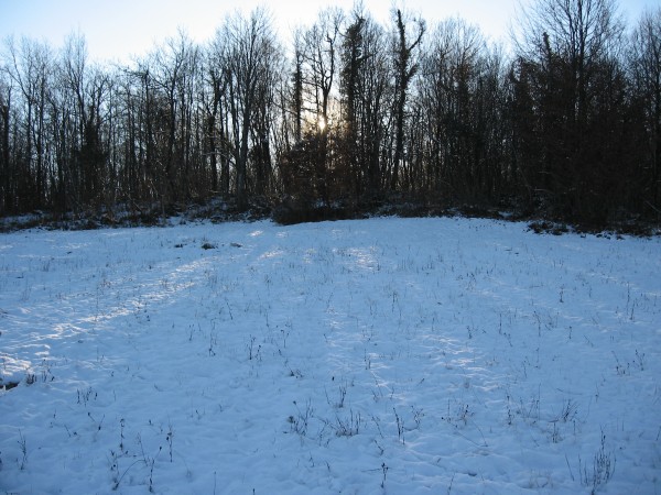 IMG_2563.JPG