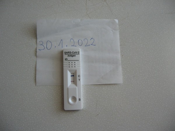 IMG_2598.jpg1.jpg