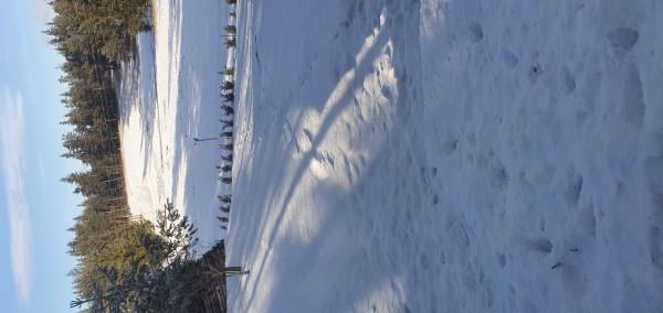 20220201_085816.jpg