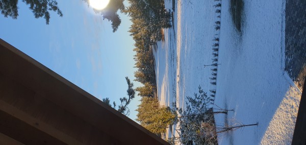 20220212_075221.jpg
