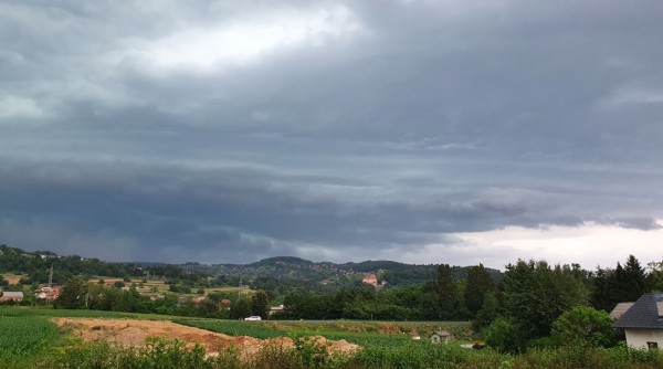 Zajeta slika.JPG