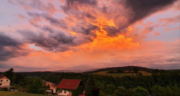Zajeta slika3.JPG