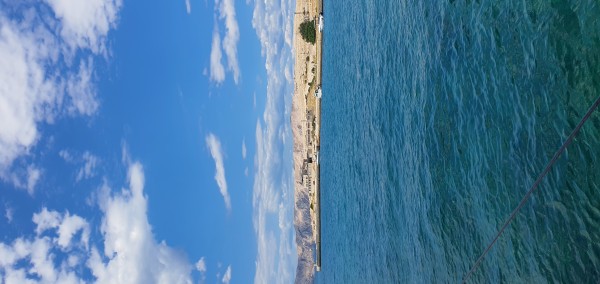 20220731_145314.jpg