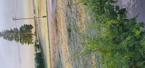 20220918_072830.jpg