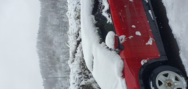 20221120_094945.jpg