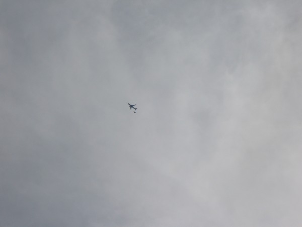 IMG_3518.JPG