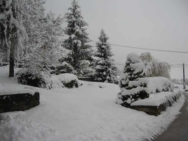 IMG_3910.JPG