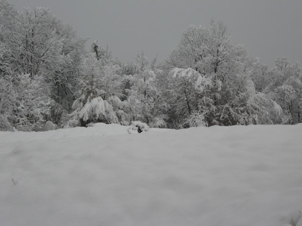 IMG_3919.JPG