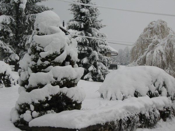 IMG_3923.JPG