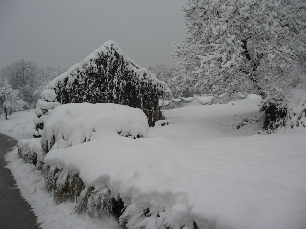 IMG_3933.JPG