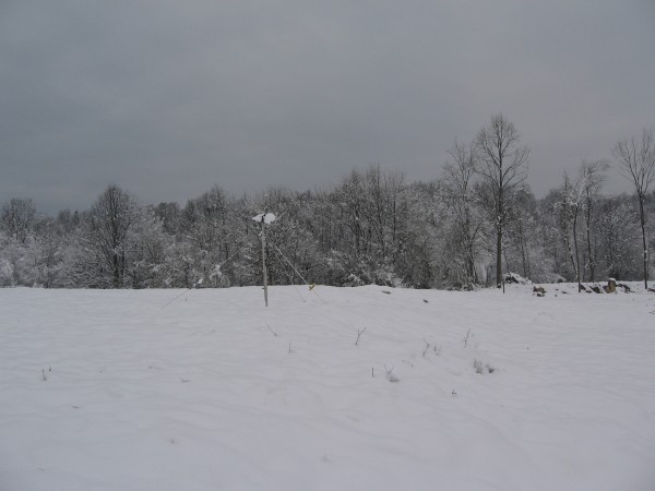 IMG_3959.JPG