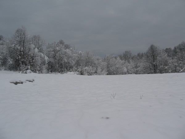 IMG_3960.JPG