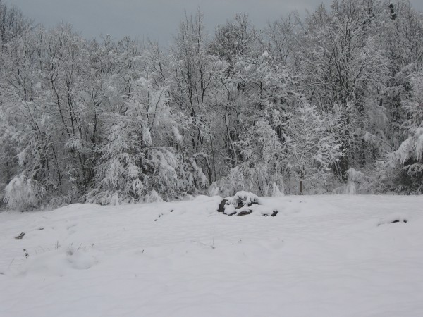 IMG_3961.JPG