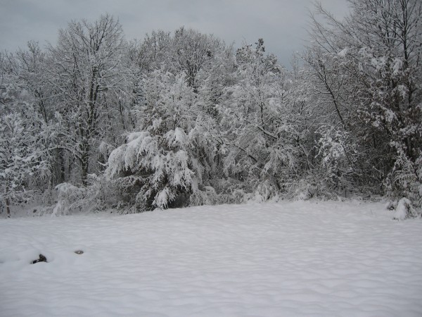 IMG_3968.JPG