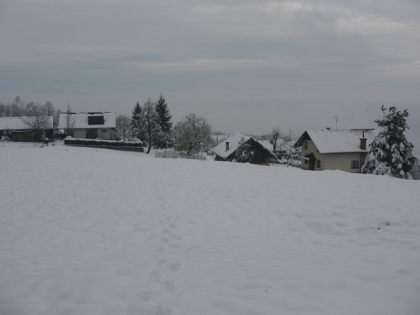IMG_3969.JPG