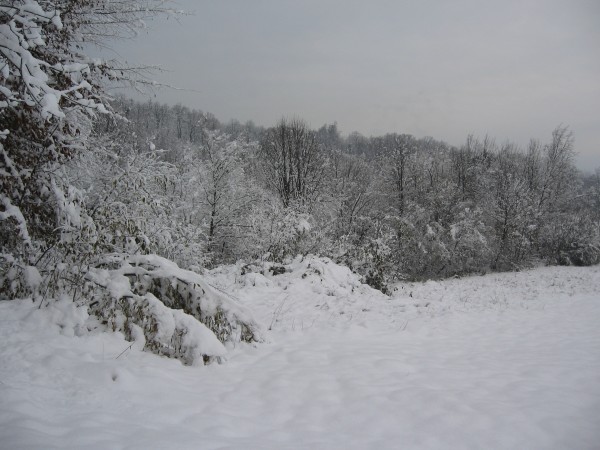 IMG_3971.JPG