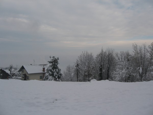 IMG_3972.JPG