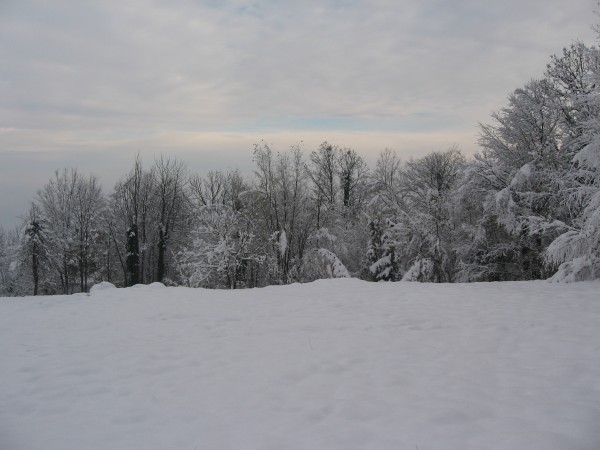 IMG_3973.JPG