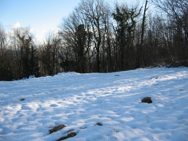 IMG_3995.JPG